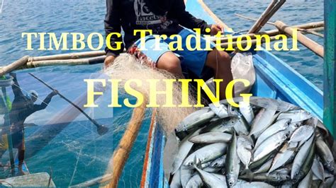 Timbog: Definition of Filipino / Tagalog word timbog.